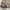 EDWIN Vintage Streetwear Jeans Pria tan photo 4