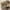 EDWIN Vintage Streetwear Jeans Pria tan photo 2