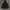 Uniform Bridge Casual Parka Pria black photo 1