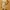 H&M Minimalist Summer dress Wanita yellow photo 1