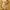 H&M Minimalist Summer Dress Wanita Yellow
