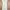 H&M Minimalist Summer dress Wanita yellow photo 3
