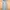 H&M Minimalist Bodycon dress Wanita green photo 3