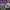 11/10 Studio Biker Casual Baju muslim Wanita white black photo 1