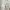 Lyle & Scott Vintage Casual Casual shirt Pria tan cream photo 4