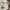 Lyle & Scott Vintage Casual Casual shirt Pria tan cream photo 5