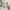 Vintage Streetwear Casual shirt Pria cream photo 5