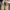 ZARA Lolita Heels Wanita khaki photo 3