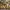 Able&Co Streetwear Sportswear Socks & tight Wanita gold silver photo 1