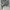 Streetwear Casual pants Pria multicolor photo 3