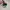 Nike Casual Sneakers Pria multicolor photo 3