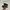 Adidas Casual Sneakers Pria black photo 1