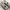 Converse Vintage Streetwear Sneakers Pria cream photo 5