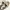 Converse Vintage Streetwear Sneakers Pria cream photo 7