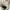 Converse Vintage Streetwear Sneakers Pria cream photo 8