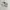 Converse Vintage Streetwear Sneakers Pria cream photo 2