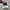 Asics Streetwear Sneakers Pria multicolor photo 4
