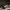 Adidas Casual Casual shoe Pria white black photo 1