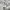 ZARA Casual Skirt Wanita white photo 4