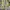 This is April Vintage Casual Going out dress Wanita white green photo 4