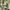 This is April Vintage Casual Going out dress Wanita white green photo 3