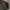 Streetwear Harrington jacket Pria brown photo 4