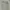 GAP Casual Bomber Jacket Kids Gray