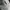 Vintage Wanita white photo 4