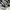 VANS Casual Sneakers Pria white black photo 2