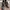 Adidas Streetwear Casual shoe Pria white black photo 1
