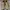 Bally Cosplay Casual Loafer Pria tan cream photo 1