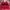 Eddie Bauer Casual Polo shirt Pria navy red photo 1