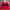 Eddie Bauer Casual Polo Shirt Pria Navy Red