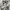 Neighborhood Streetwear Y2K Formal shirt Pria white black photo 2