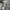 Neighborhood Streetwear Y2K Formal shirt Pria white black photo 5