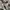 Neighborhood Streetwear Y2K Formal shirt Pria white black photo 3