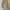 Y2K Casual pants Pria cream photo 3