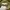 Y2K Casual Casual shirt Pria green photo 2