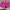 Under Armour Streetwear Sportswear Short Wanita Pink