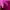 Under Armour Streetwear Sportswear Short Wanita pink photo 3