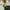 The North Face Gorpcore Windbreaker Pria green black photo 3