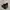 Adidas Casual Ankle Boots Pria Black