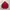 The North Face Streetwear Casual Windbreaker Pria red photo 6