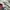 Japanese brand Grunge Indie Casual shirt Pria multicolor photo 7