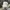 Polo Ralph Lauren Casual Hat Pria tan photo 1