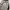 The North Face Streetwear Casual Windbreaker Pria black photo 3