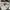 The North Face Streetwear Casual Windbreaker Pria black photo 4