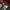 Wrangler Gorpcore Grunge Sweatpants & Joggers Pria green photo 7