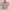 Casual Crop top Wanita pink photo 3