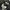 The North Face Streetwear Gorpcore Windbreaker Pria black photo 5